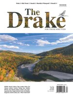 The Drake